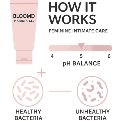 BLOOMD Infographic